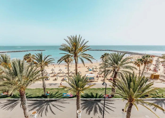 클레오파트라 팰리스 플라야데라스아메리카스