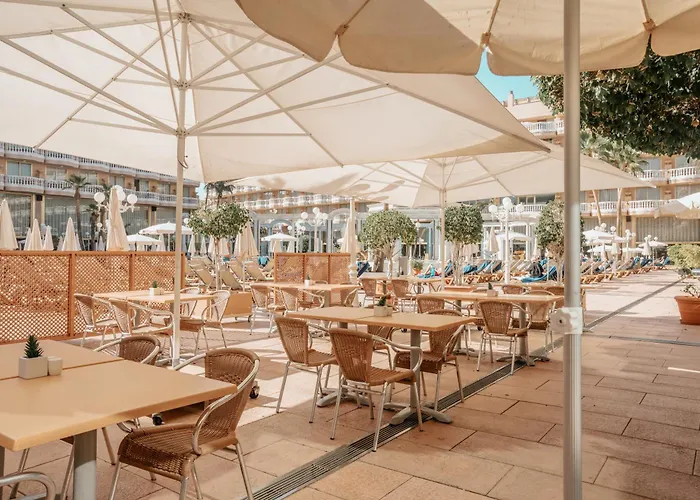 酒店 克里奥帕特拉皇宫酒店 美洲海滩